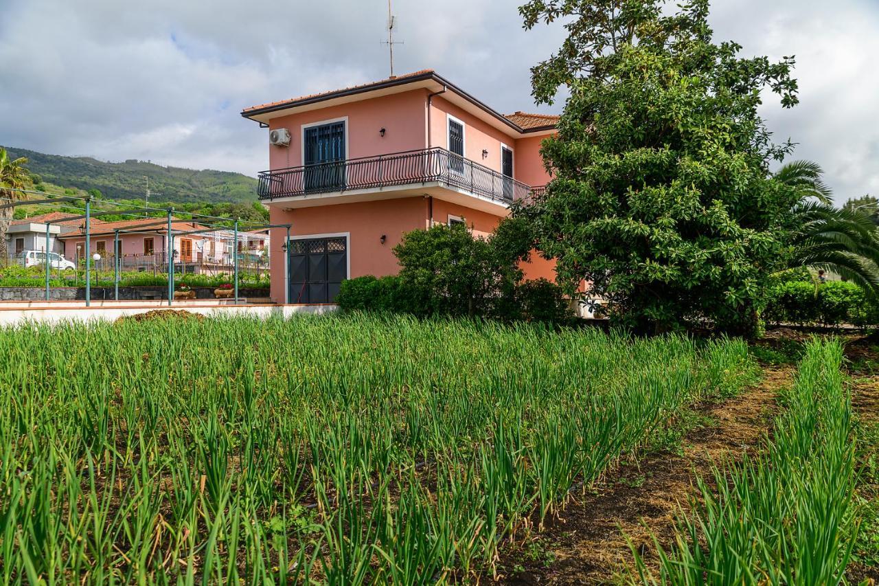Bee Happy - Bed And Breakfast Zafferana Etnea Exterior foto